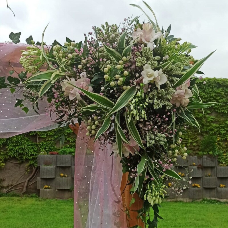 WhatsApp Image 2026-03-10 at 12.00.03 6